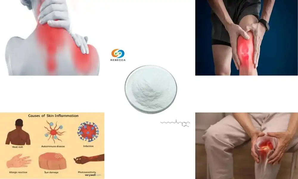 Nonivamide Powder: A Natural Pain-Relieving Supplement